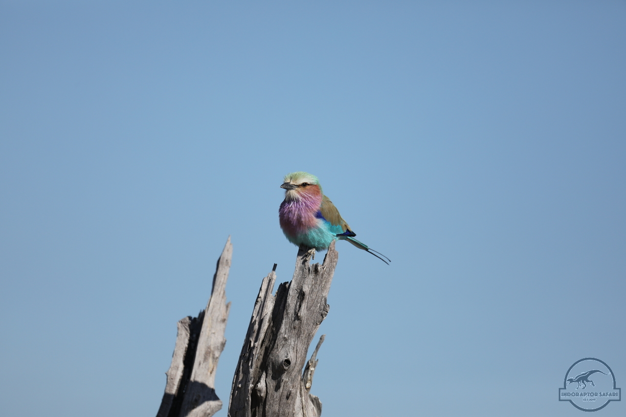 [324] 2019_06_20_14_50_45_Africa_Canon_EOS_5D_Mark_IV_IMG_0001094_00027.jpg