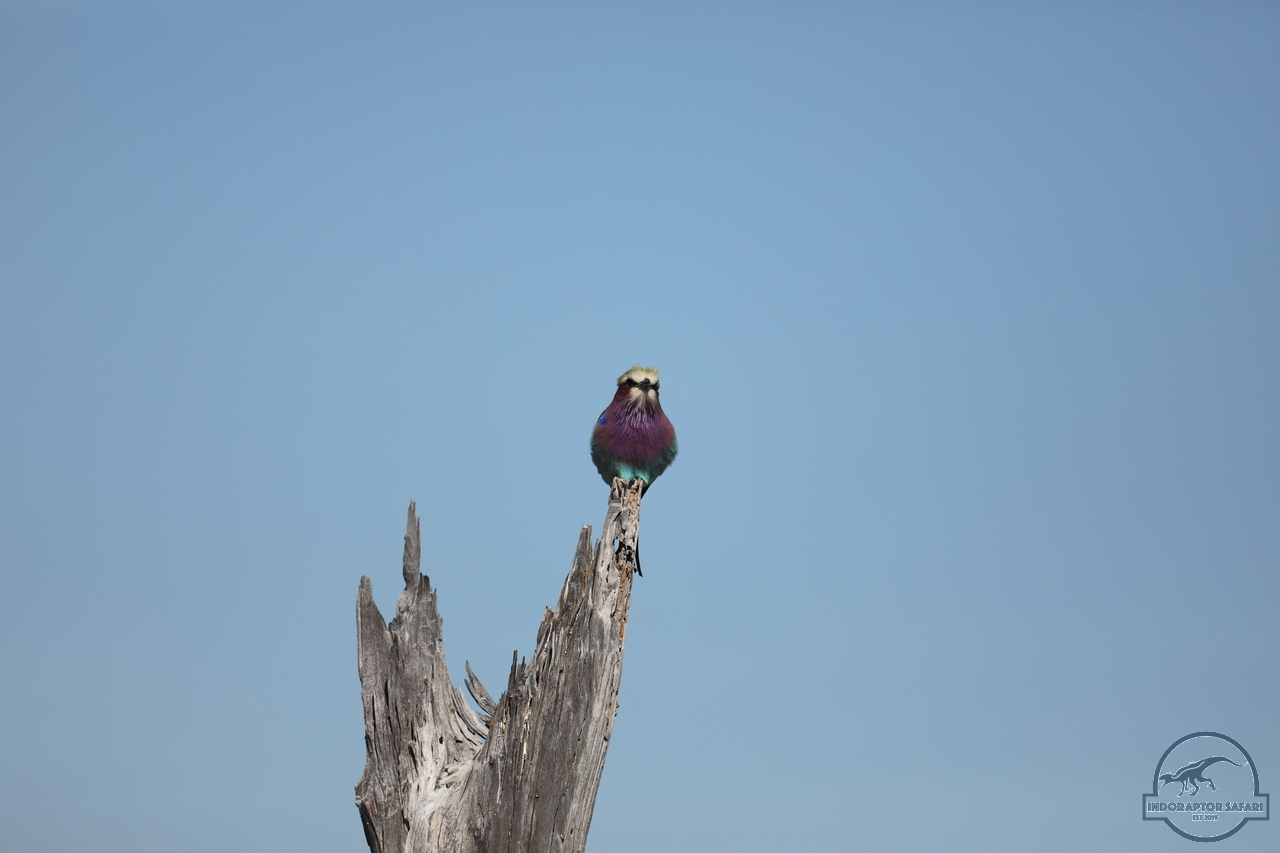 [337] 2019_06_20_14_52_56_Africa_Canon_EOS_5D_Mark_IV_IMG_0001124_00123.jpg