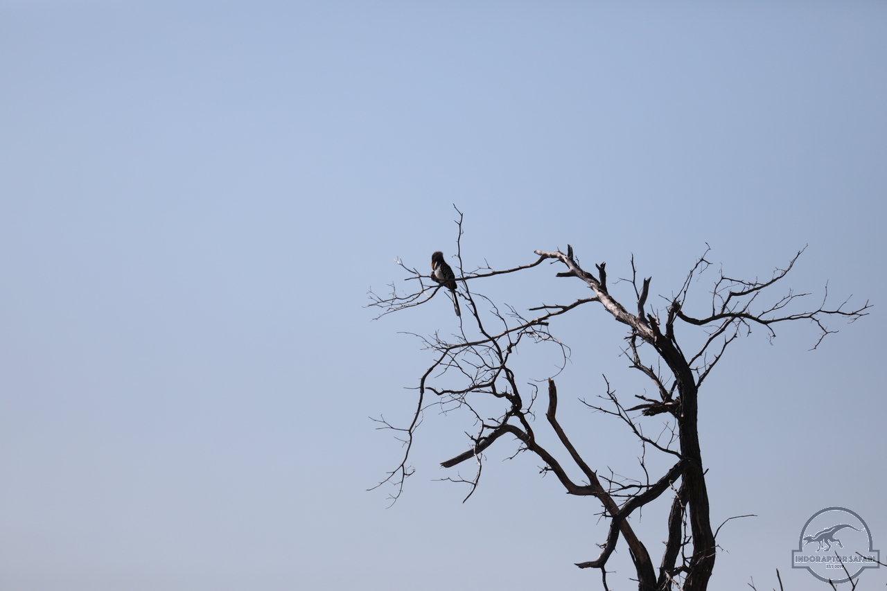 [415] 2019_06_22_14_54_04_Africa_Canon_EOS_5D_Mark_IV_IMG_0002725_00149.jpg