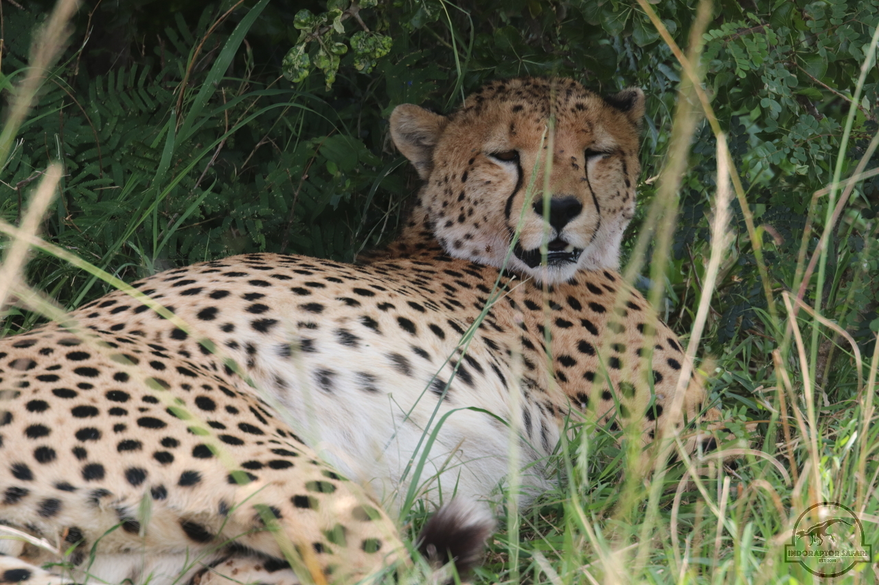 [509] 2019_07_02_11_42_27_Africa_Canon_EOS_77D_IMG_3167_00011.jpg