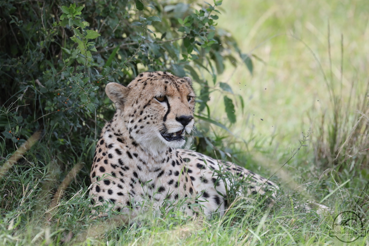 [515] 2019_07_02_17_03_28_Africa_Canon_EOS_5D_Mark_IV_IMG_0012797_00007.jpg