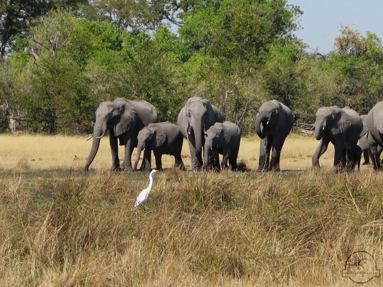 [534] 2019_06_20_05_41_27_Africa_Canon_PowerShot_G16_IMG_0095_00220.jpg