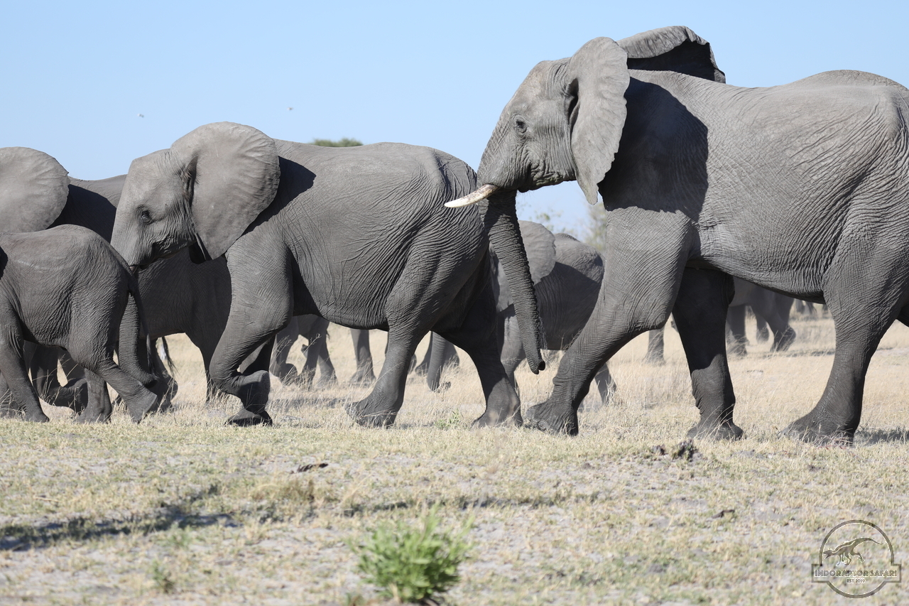 [543] 2019_06_20_14_44_30_Africa_Canon_EOS_5D_Mark_IV_IMG_0001079_00007.jpg