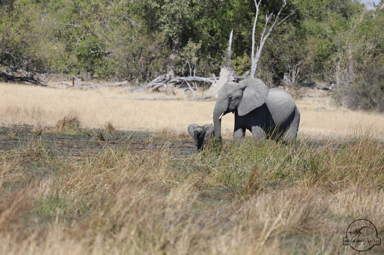 [548] 2019_06_20_16_27_15_Africa_Canon_EOS_5D_Mark_IV_IMG_0001766_00203.jpg