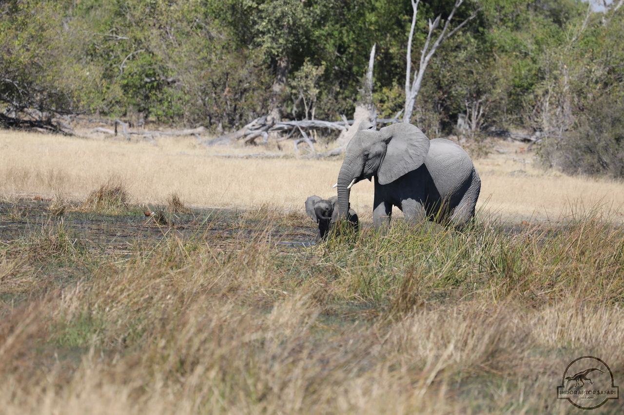 [549] 2019_06_20_16_27_15_Africa_Canon_EOS_5D_Mark_IV_IMG_0001767_00010.jpg