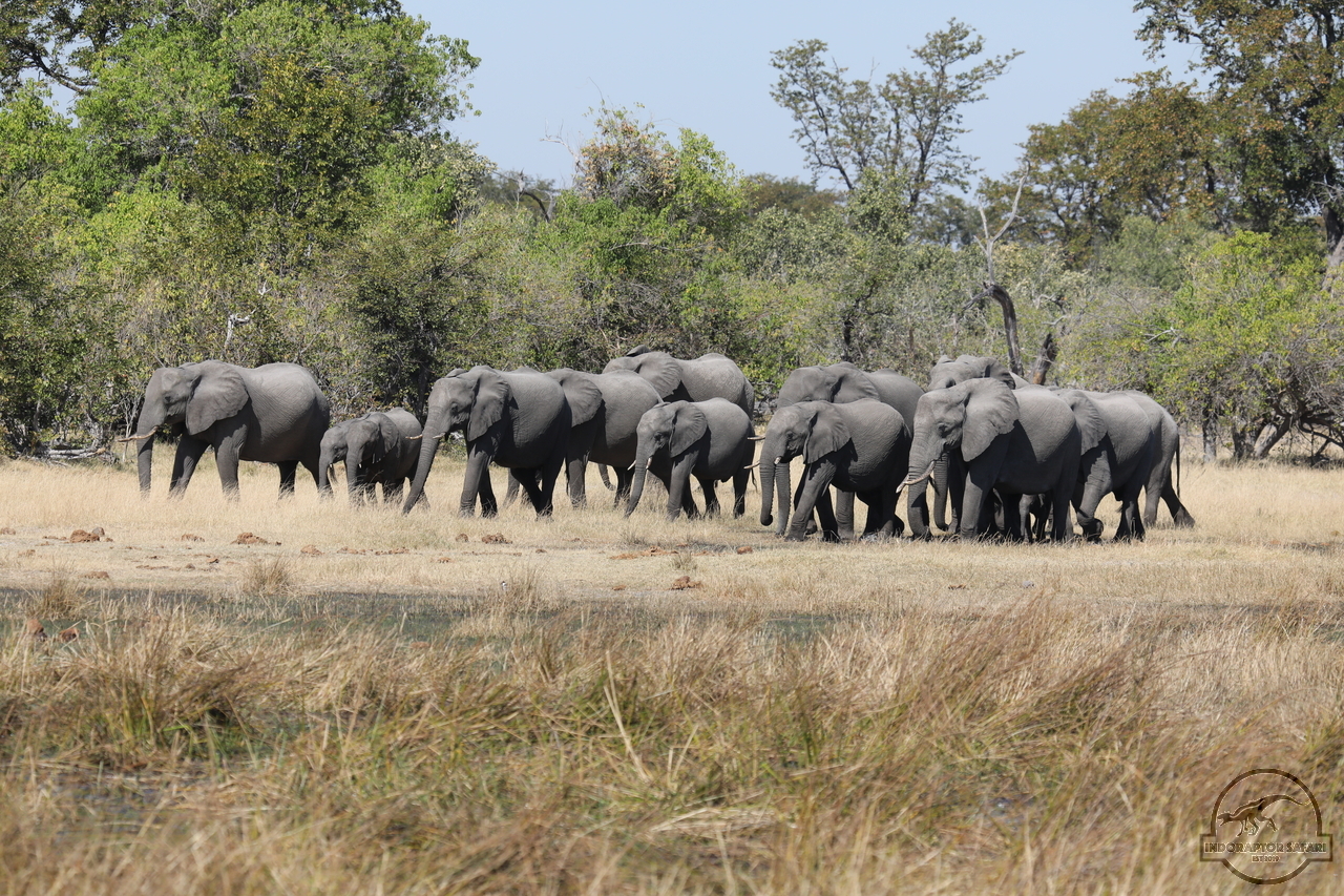 [555] 2019_06_20_16_50_53_Africa_Canon_EOS_5D_Mark_IV_IMG_0002237_00013.jpg