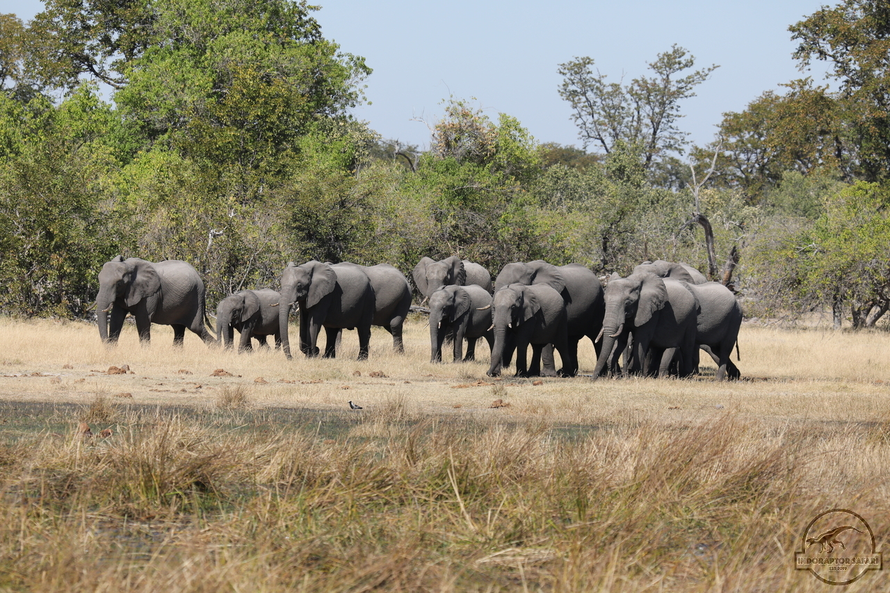 [557] 2019_06_20_16_50_57_Africa_Canon_EOS_5D_Mark_IV_IMG_0002239_00014.jpg