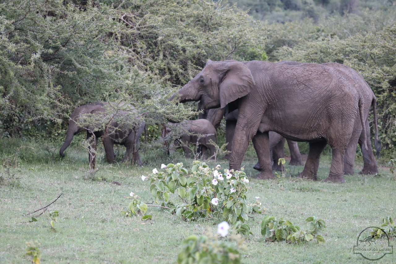 [574] 2019_06_30_22_24_55_Africa_Canon_EOS_5D_Mark_IV_IMG_0009540_00212.jpg