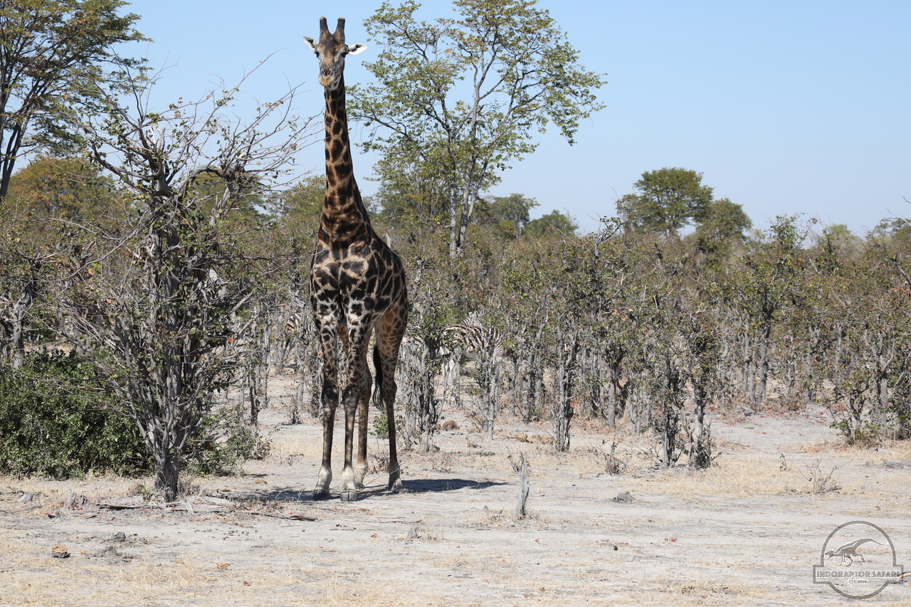 [592] 2019_06_20_17_30_45_Africa_Canon_EOS_5D_Mark_IV_IMG_0002332_00228.jpg