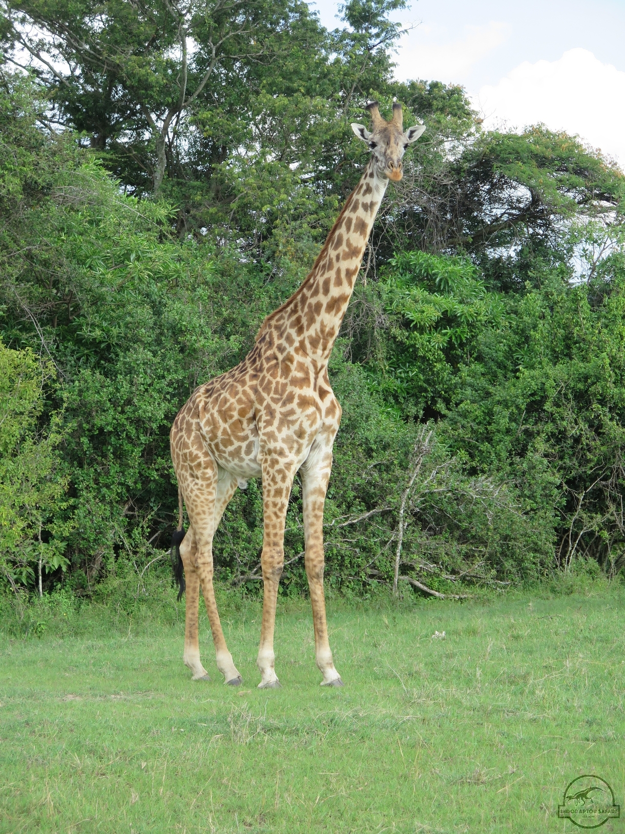 [602] 2019_06_29_10_01_02_Africa_Canon_PowerShot_G16_IMG__00236.jpg