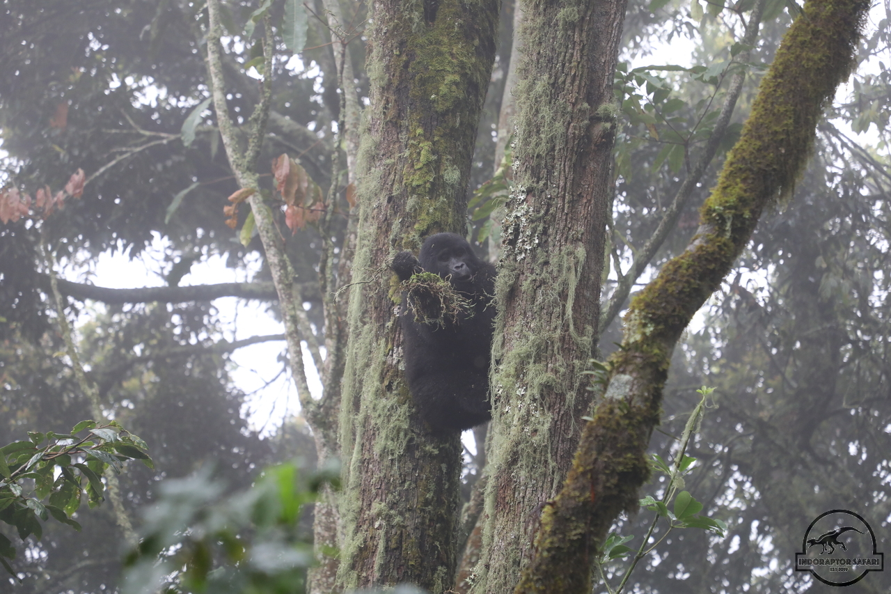 [644] 2019_06_26_13_37_14_Africa_Canon_EOS_5D_Mark_IV_IMG_0006331_00244.jpg