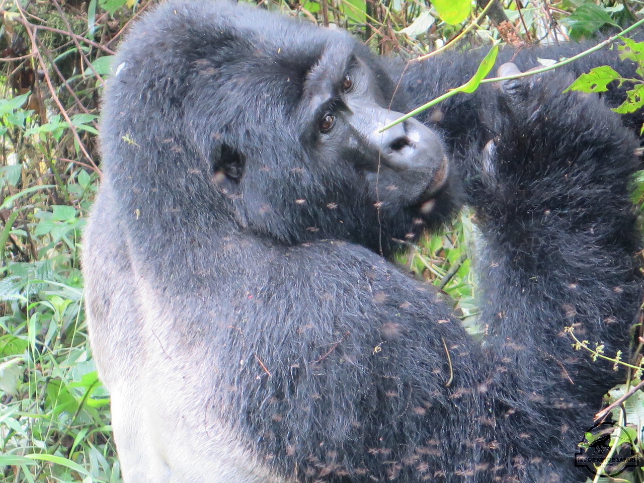 [654] 2019_06_27_03_55_29_Africa_Canon_PowerShot_G16_IMG_0053_00255.jpg