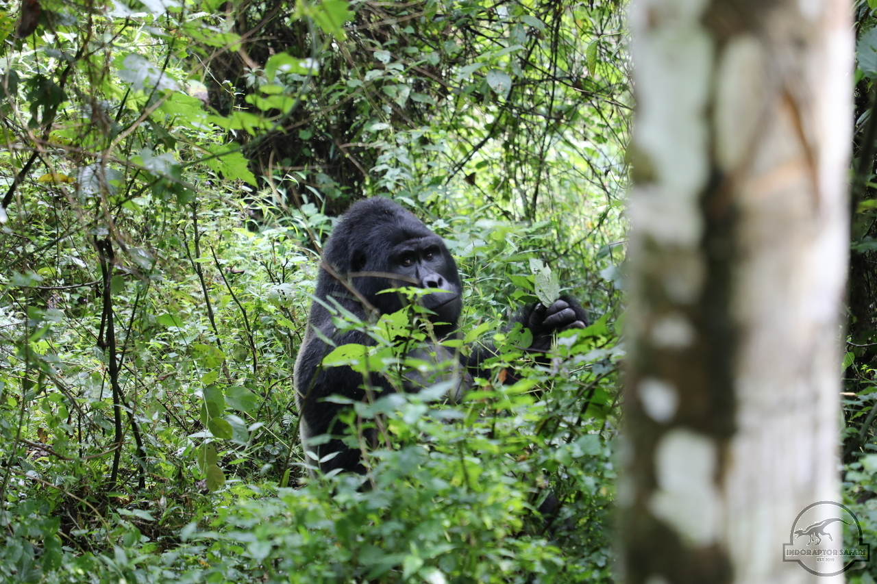 [665] 2019_06_27_14_38_48_Africa_Canon_EOS_5D_Mark_IV_IMG_0007599_00006.jpg
