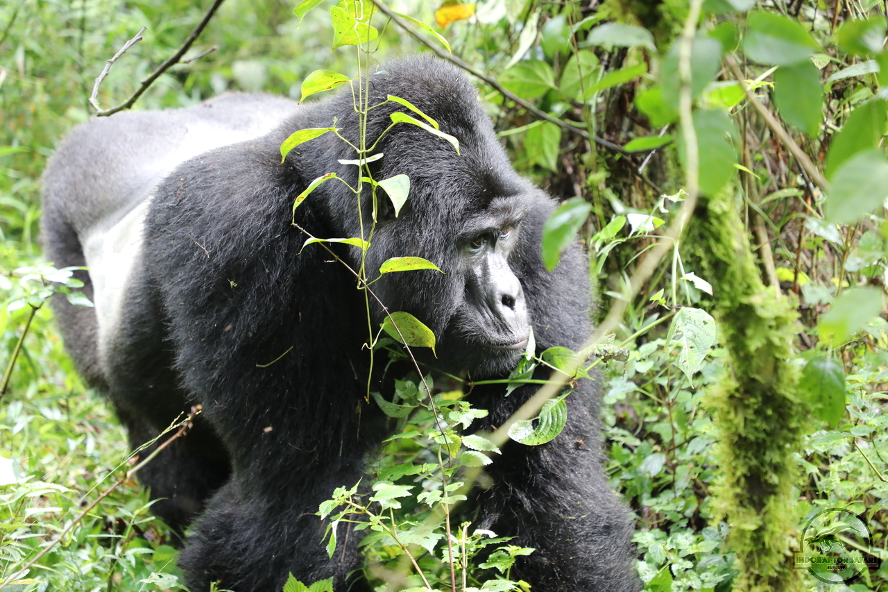 [669] 2019_06_27_14_46_31_Africa_Canon_EOS_5D_Mark_IV_IMG_0007758_00008.jpg