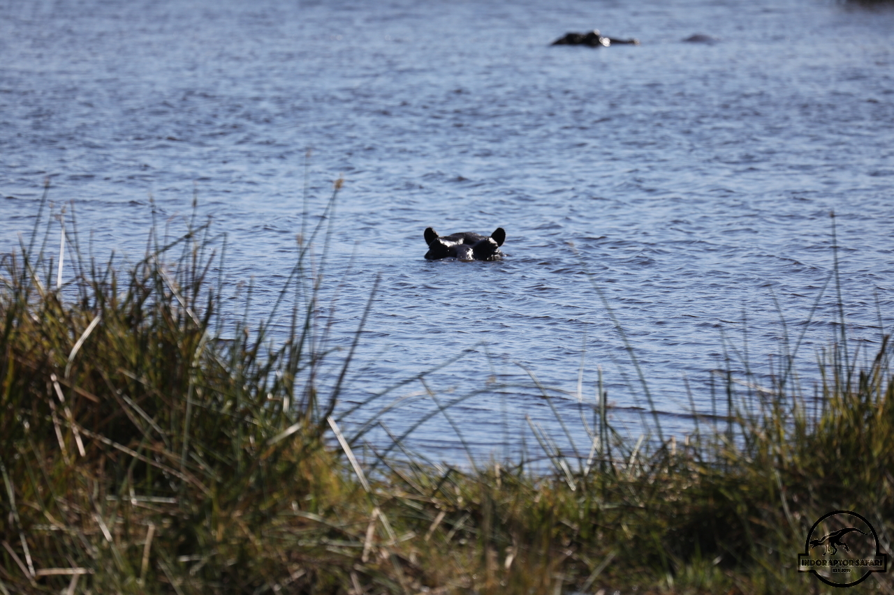 [673] 2019_06_20_15_51_37_Africa_Canon_EOS_5D_Mark_IV_IMG_0001198_00001.jpg