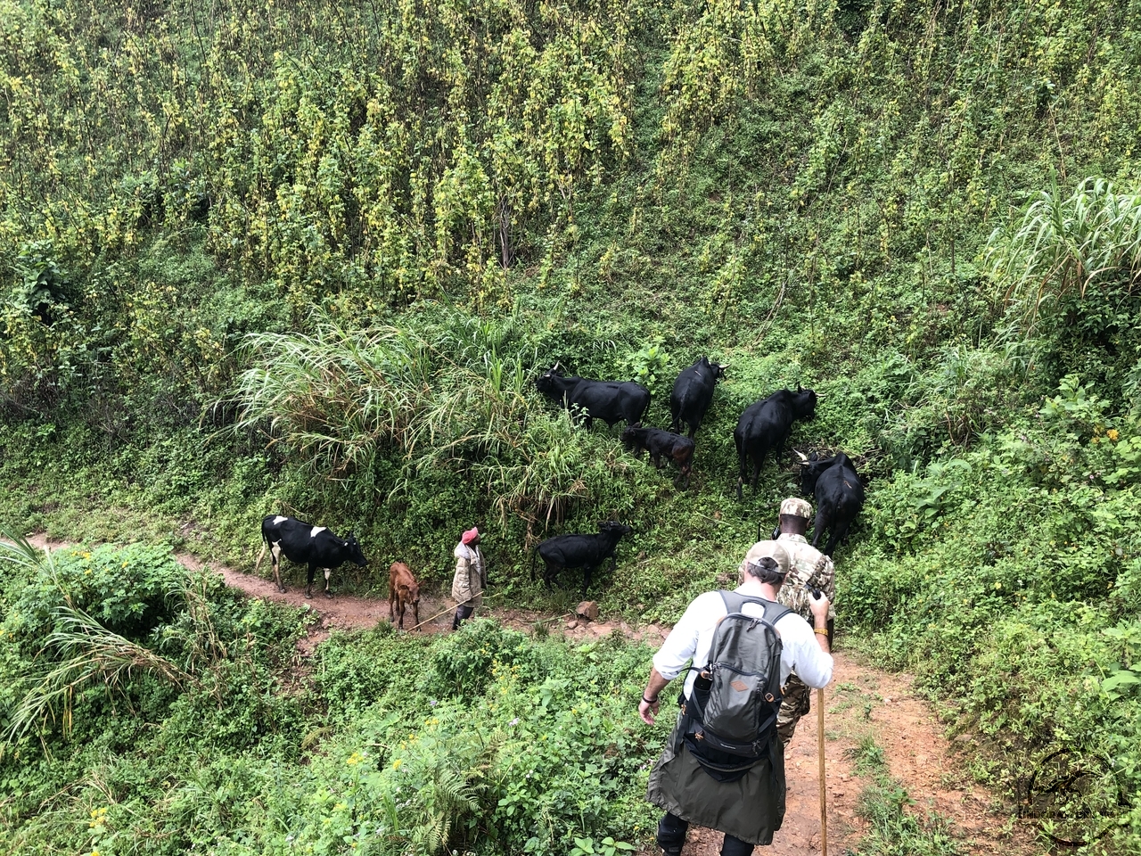 [848] 2019_06_27_09_24_05_Africa_iPhone_X_IMG_9490_00355.jpg