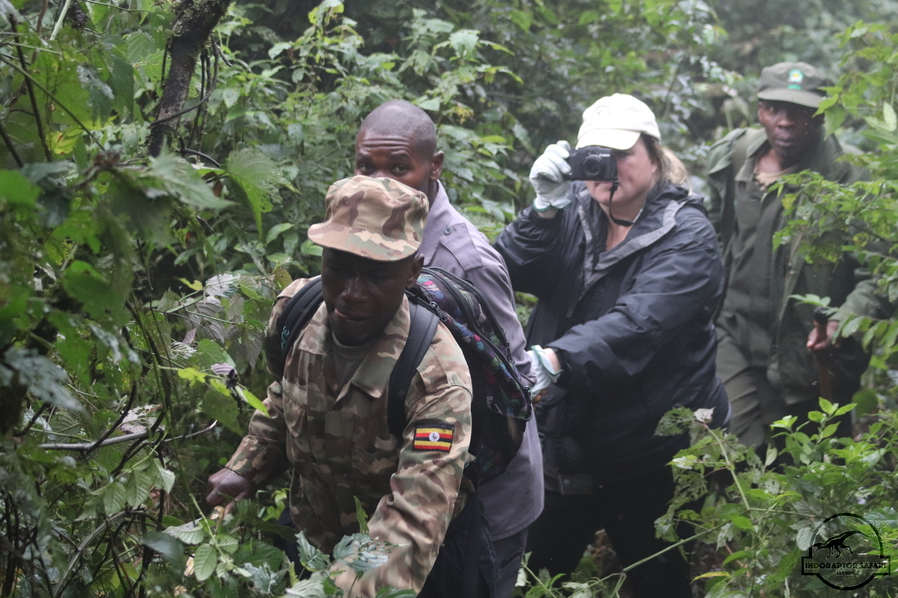 [853] 2019_06_27_15_53_30_Africa_Canon_EOS_77D_IMG__00053.jpg