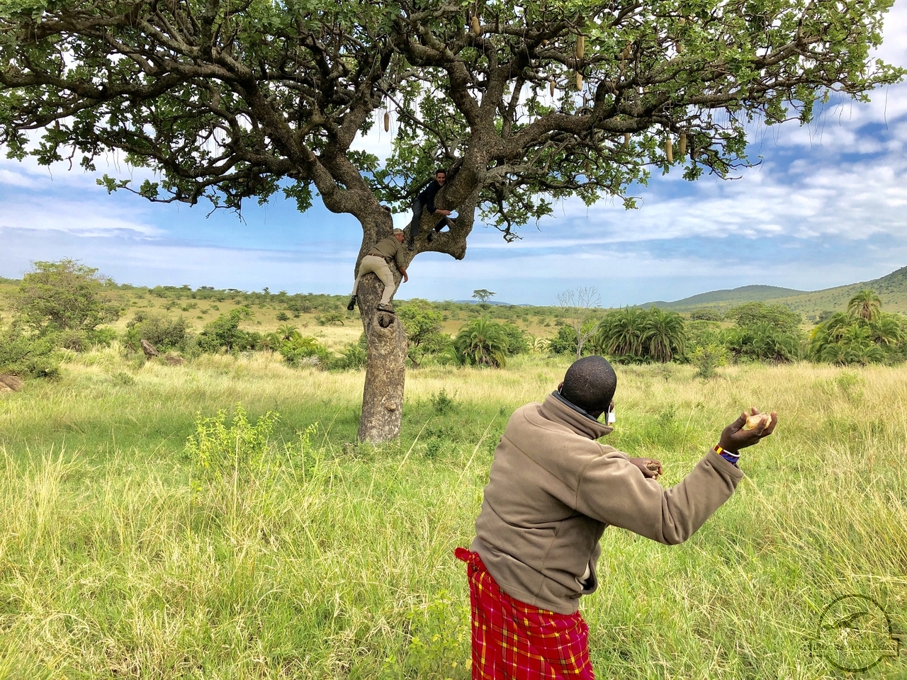 [1003] 2019_07_04_10_27_49_Africa_iPhone_X_IMG_4636_00119.jpg