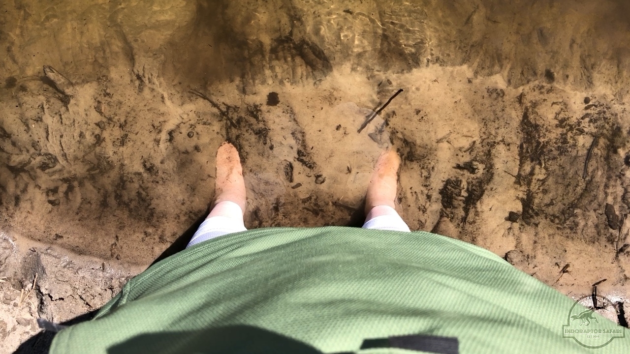 [1028] 2020_06_17_14_46_00-04_00_Africa__IMG__00305.jpg