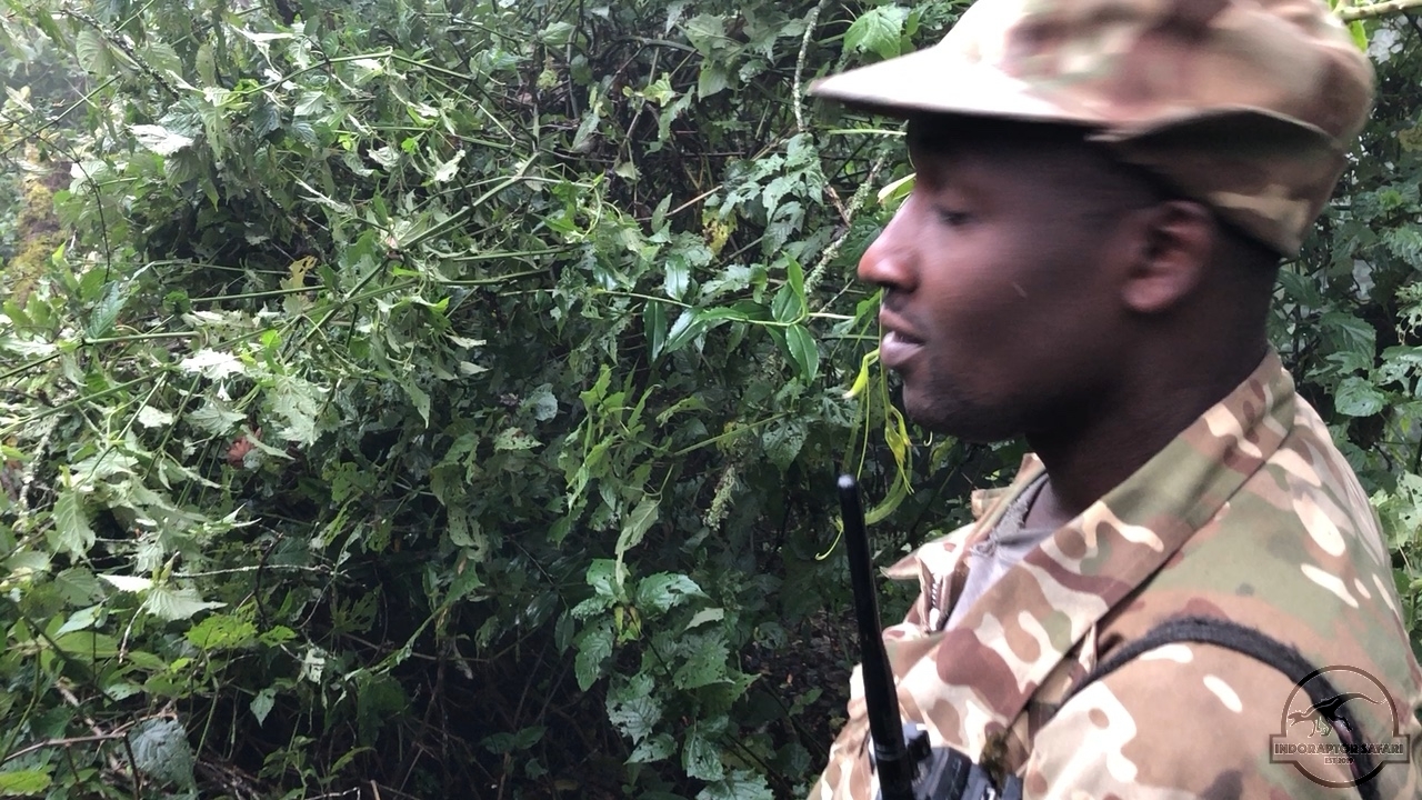 [1034] 2020_06_17_14_46_28-04_00_Africa__IMG__00296.jpg