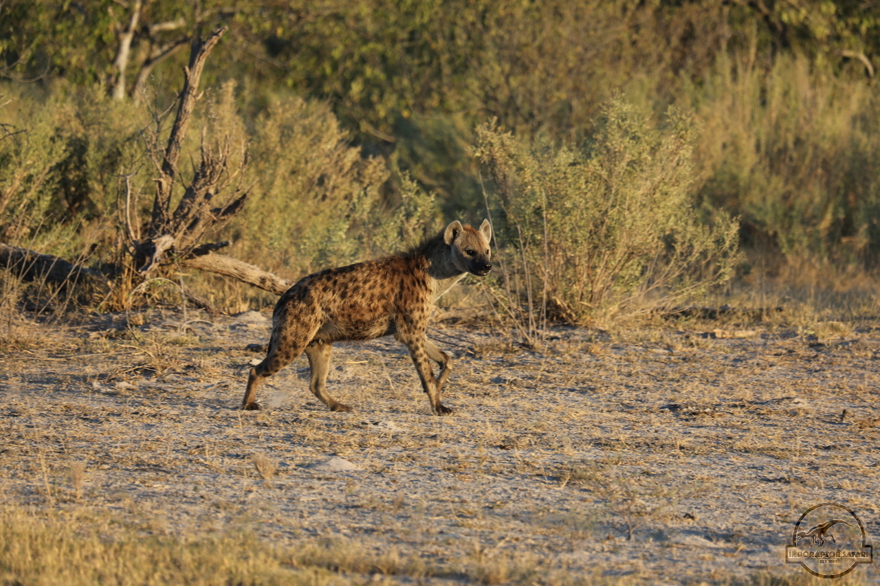 [1049] 2019_06_20_12_26_15_Africa_Canon_EOS_5D_Mark_IV_IMG_0000651_00001.jpg