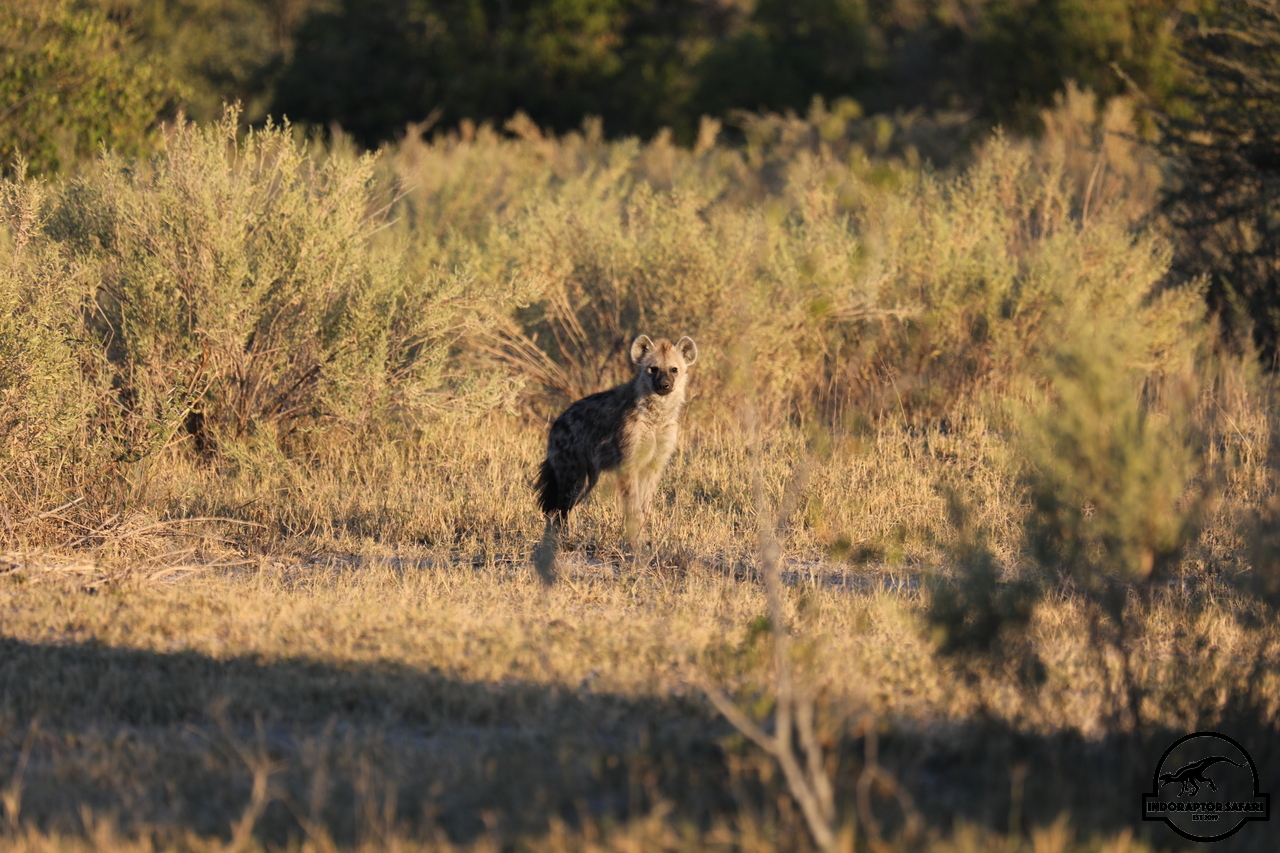 [1052] 2019_06_20_12_26_21_Africa_Canon_EOS_5D_Mark_IV_IMG_0000653_00458.jpg