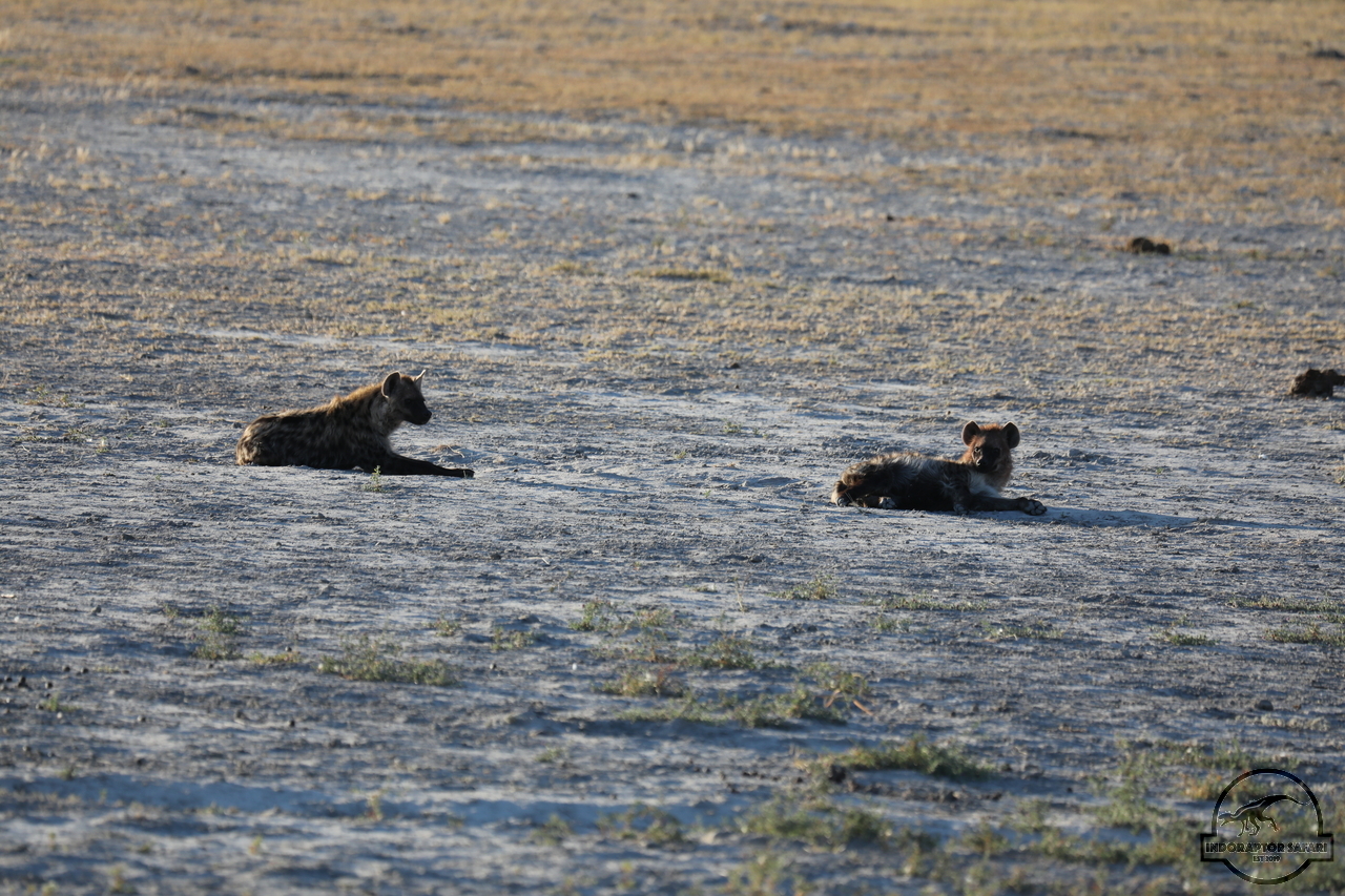 [1055] 2019_06_21_12_39_52_Africa_Canon_EOS_5D_Mark_IV_IMG_0003644_00004.jpg