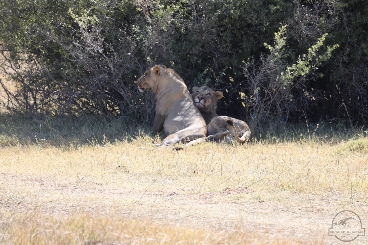 [1080] 2019_06_20_16_09_00_Africa_Canon_EOS_5D_Mark_IV_IMG_0001336_00472.jpg