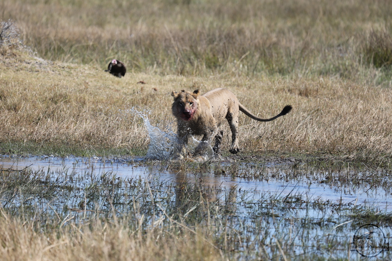 [1091] 2019_06_20_16_20_35_Africa_Canon_EOS_5D_Mark_IV_IMG_0001552_00011.jpg