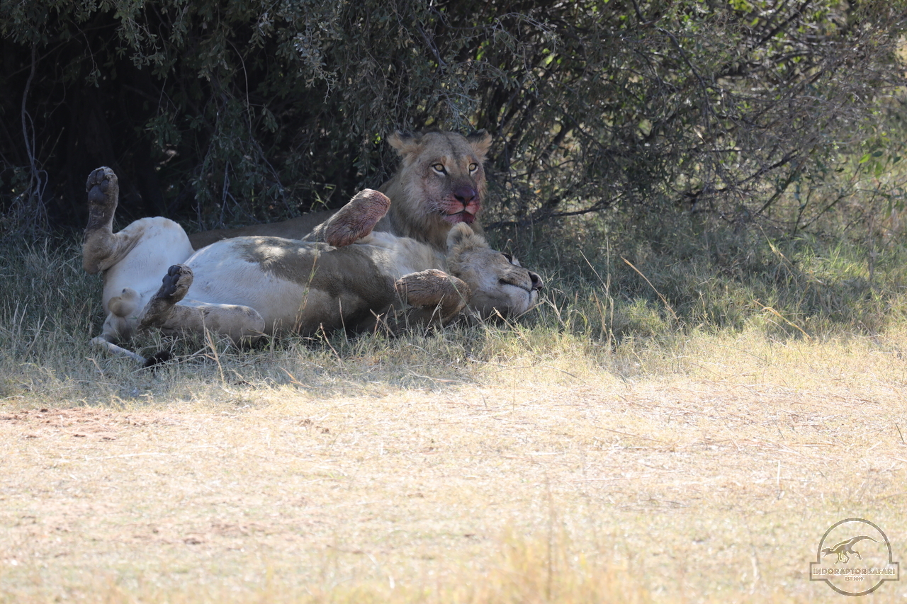 [1093] 2019_06_20_16_23_34_Africa_Canon_EOS_5D_Mark_IV_IMG_0001686_00012.jpg