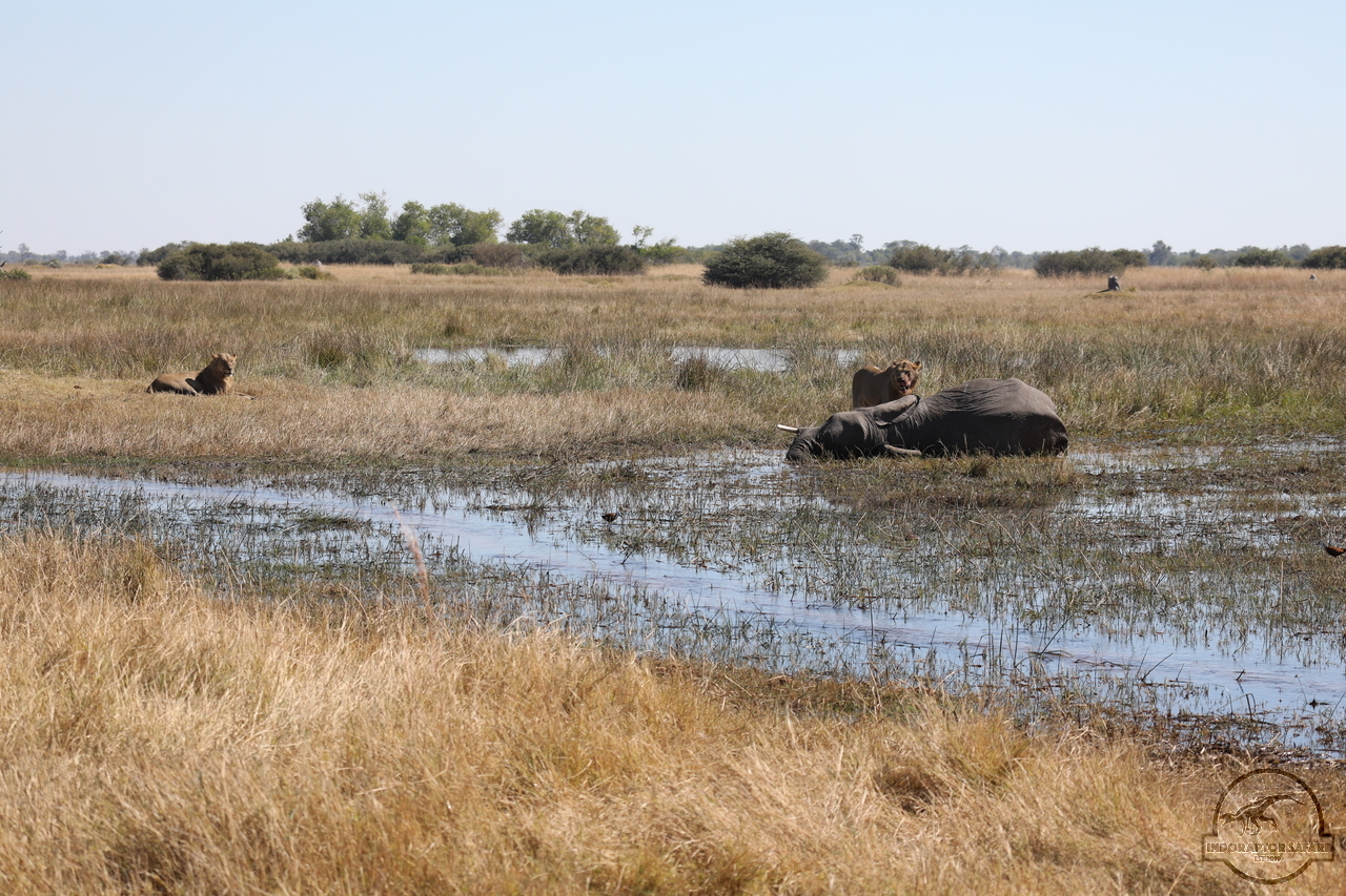 [1101] 2019_06_20_16_31_08_Africa_Canon_EOS_5D_Mark_IV_IMG_0001901_00016.jpg