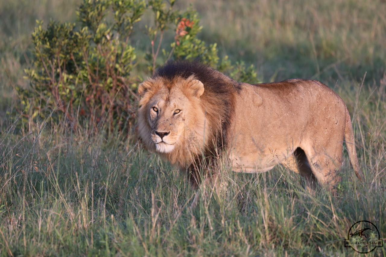 [1114] 2019_07_01_11_07_45_Africa_Canon_EOS_5D_Mark_IV_IMG_0009888_00487.jpg
