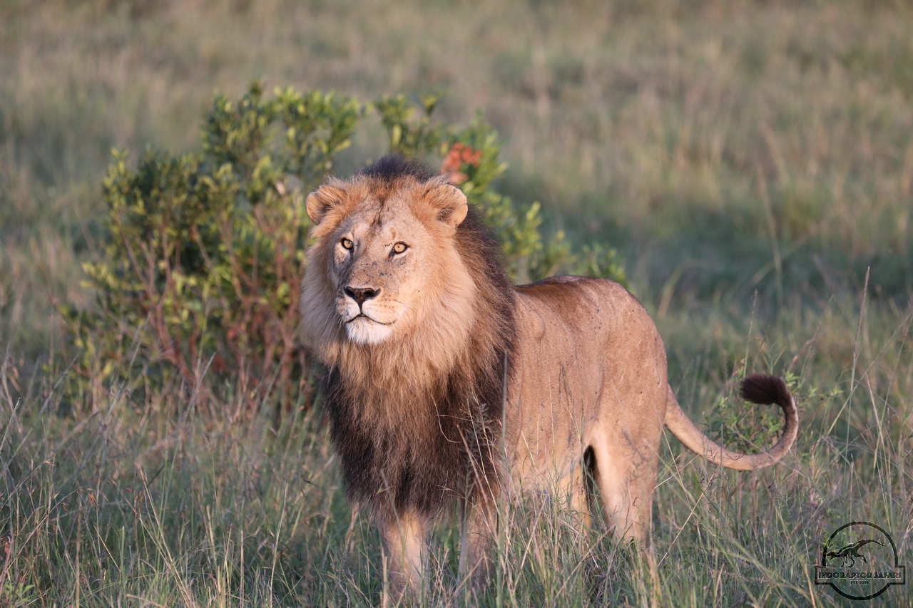 [1116] 2019_07_01_11_07_47_Africa_Canon_EOS_5D_Mark_IV_IMG_0009894_00488.jpg