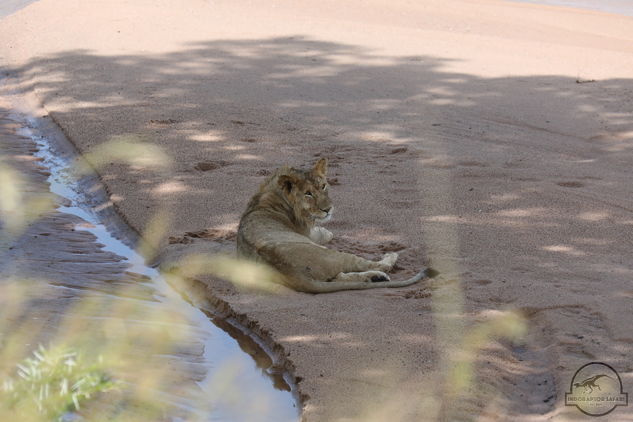 [1125] 2019_07_02_15_36_06_Africa_Canon_EOS_5D_Mark_IV_IMG_0012322_00024.jpg