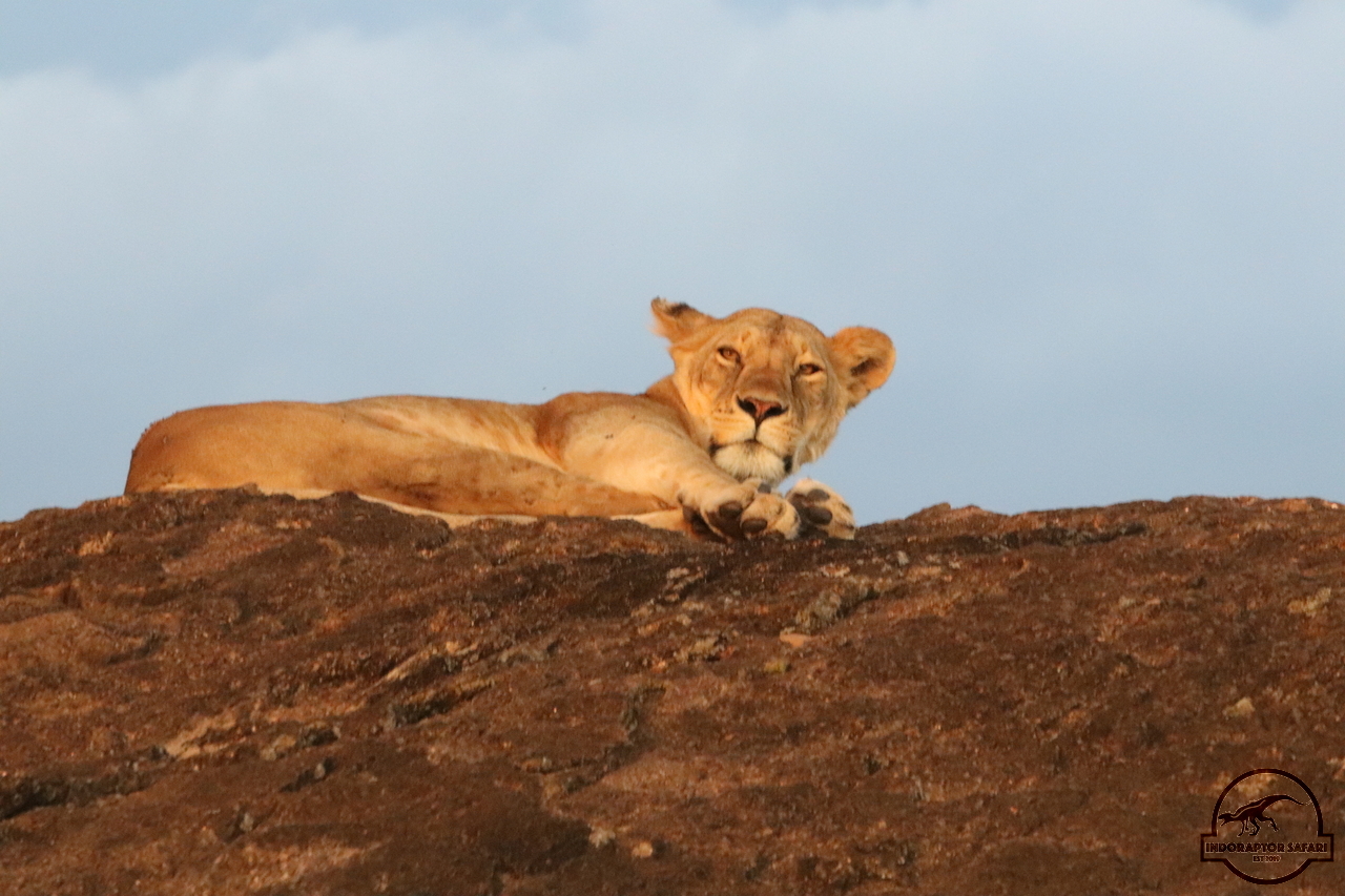 [1137] 2019_07_03_17_23_52_Africa_Canon_EOS_77D_IMG_3785_00038.jpg