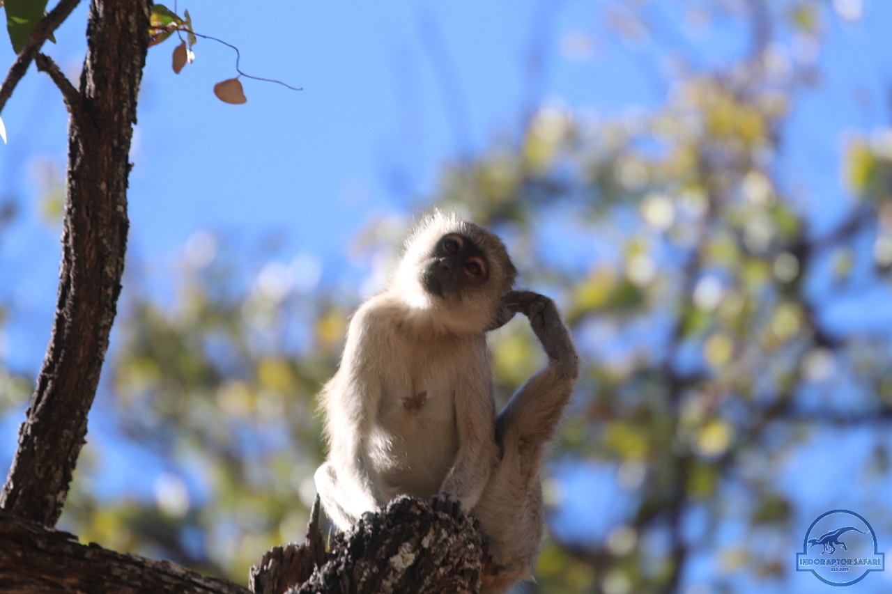 [1167] 2019_06_24_10_11_56_Africa_Canon_EOS_77D_IMG__00006.jpg