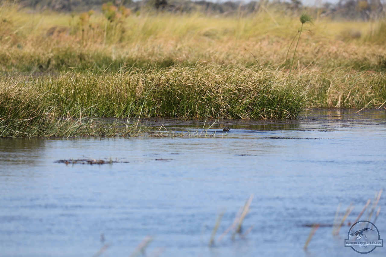 [1173] 2019_06_21_17_32_03_Africa_Canon_EOS_5D_Mark_IV_IMG_0004045_00001.jpg
