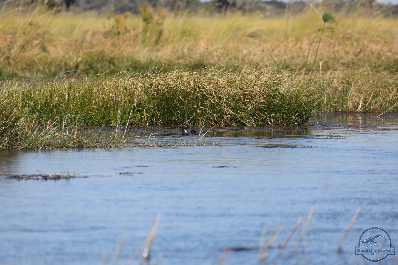 [1179] 2019_06_21_17_32_05_Africa_Canon_EOS_5D_Mark_IV_IMG_0004048_00004.jpg