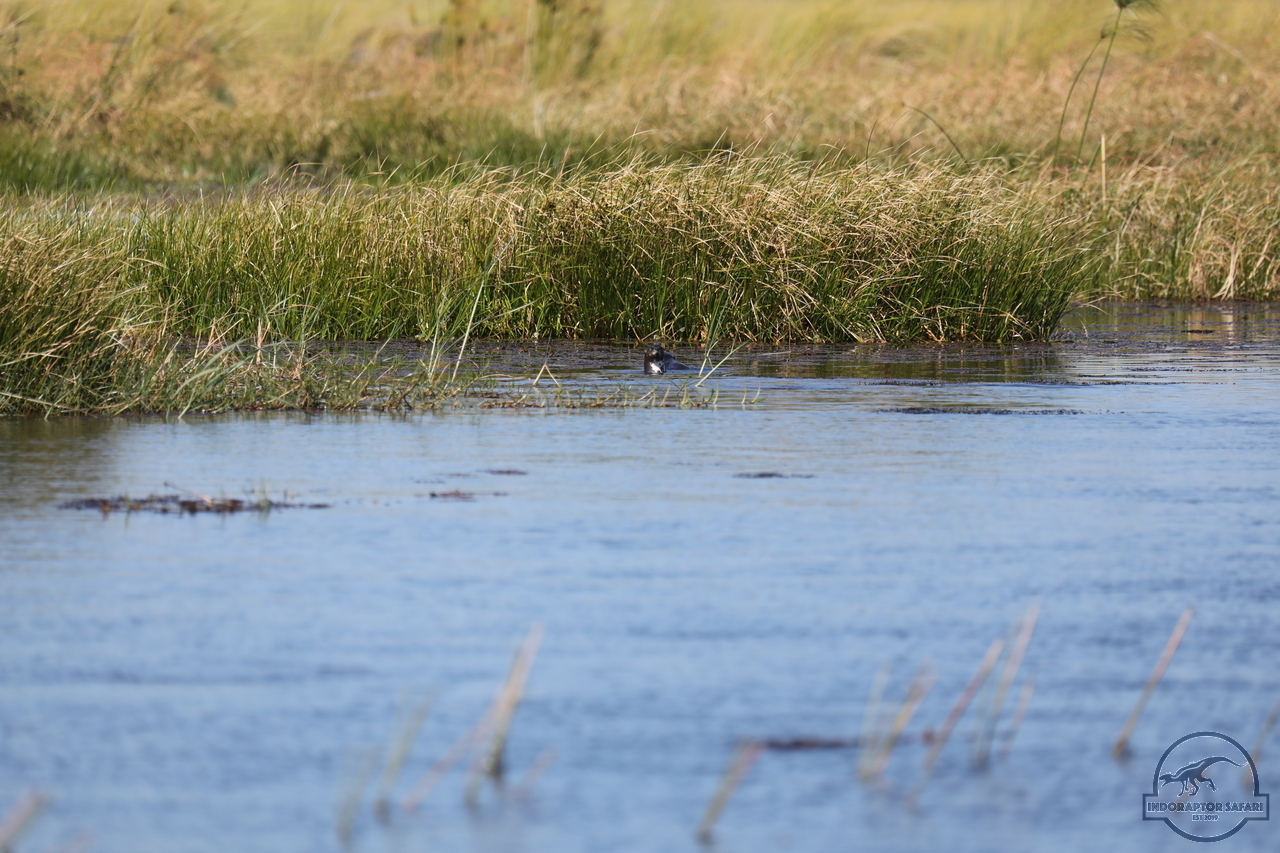[1181] 2019_06_21_17_32_05_Africa_Canon_EOS_5D_Mark_IV_IMG_0004049_00005.jpg