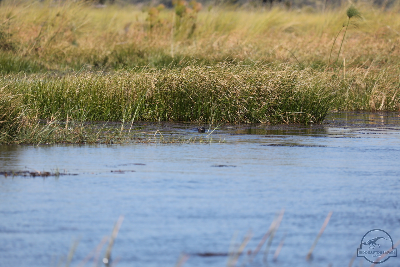 [1188] 2019_06_21_17_32_06_Africa_Canon_EOS_5D_Mark_IV_IMG_0004052_00526.jpg