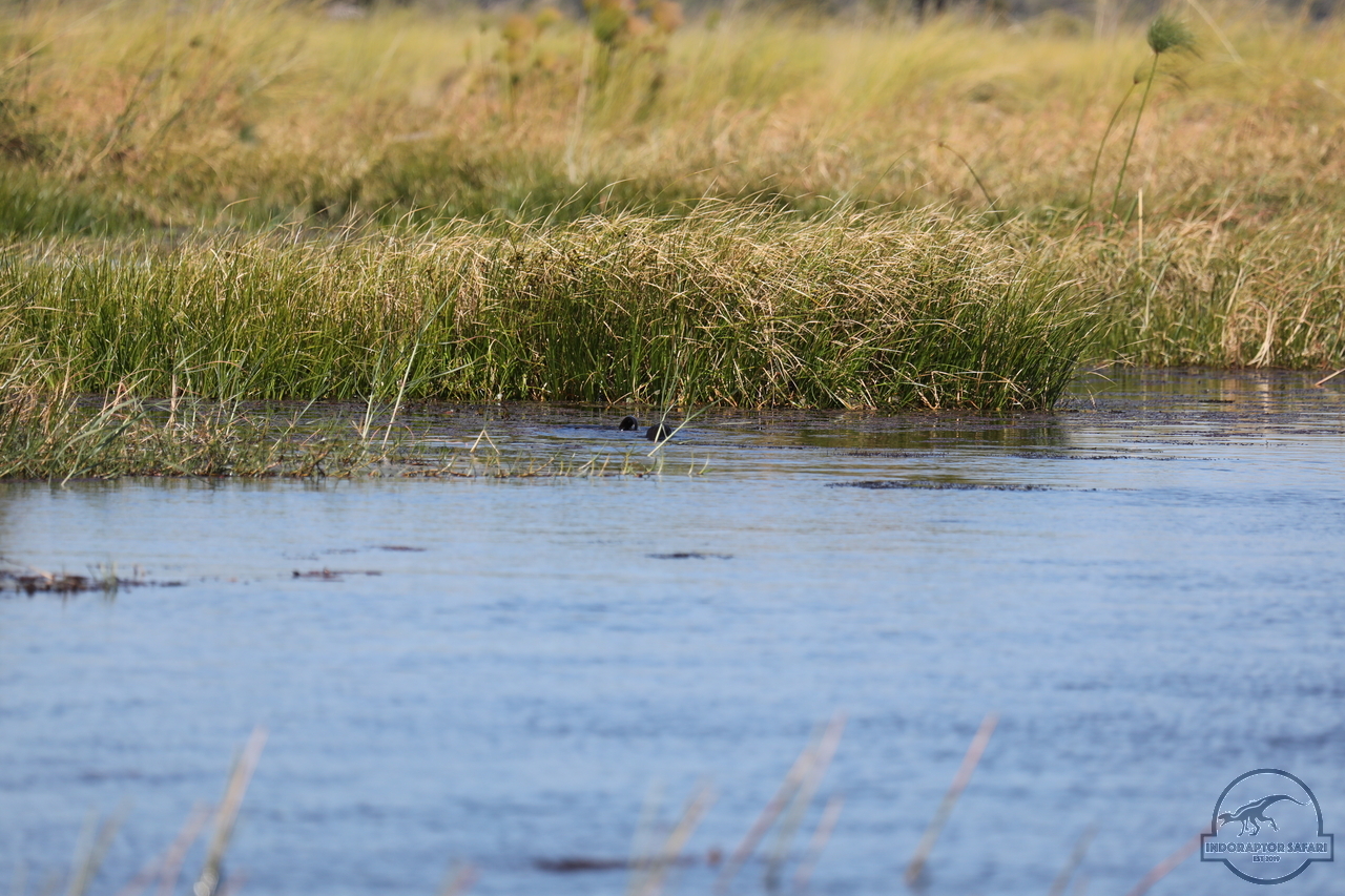 [1189] 2019_06_21_17_32_07_Africa_Canon_EOS_5D_Mark_IV_IMG_0004053_00009.jpg