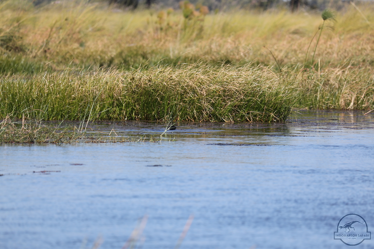 [1196] 2019_06_21_17_32_09_Africa_Canon_EOS_5D_Mark_IV_IMG_0004056_00530.jpg