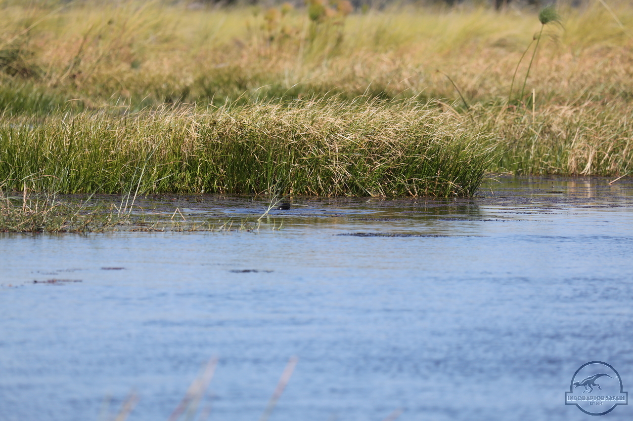 [1198] 2019_06_21_17_32_09_Africa_Canon_EOS_5D_Mark_IV_IMG_0004057_00531.jpg