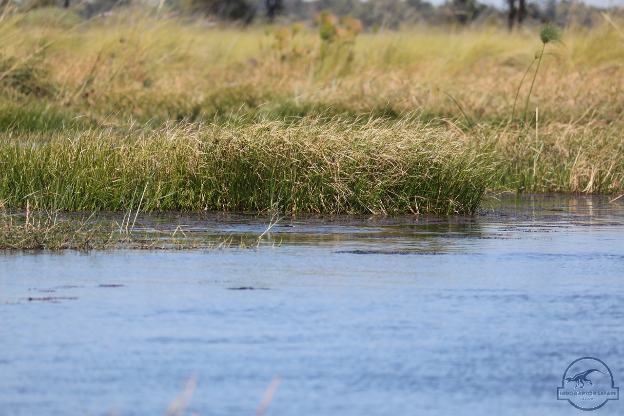 [1200] 2019_06_21_17_32_10_Africa_Canon_EOS_5D_Mark_IV_IMG_0004058_00532.jpg