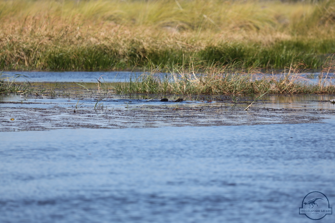 [1202] 2019_06_21_17_32_48_Africa_Canon_EOS_5D_Mark_IV_IMG_0004059_00533.jpg