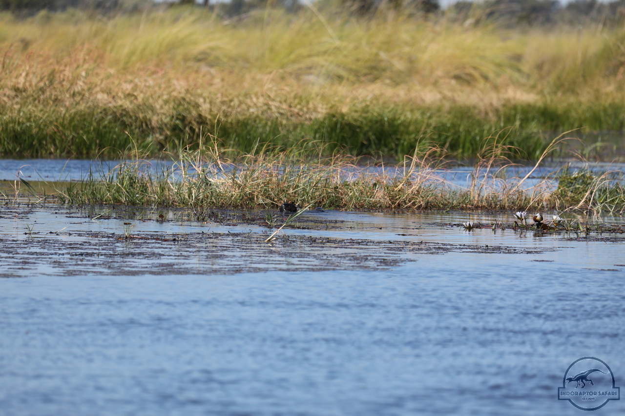 [1207] 2019_06_21_17_32_56_Africa_Canon_EOS_5D_Mark_IV_IMG_0004062_00018.jpg
