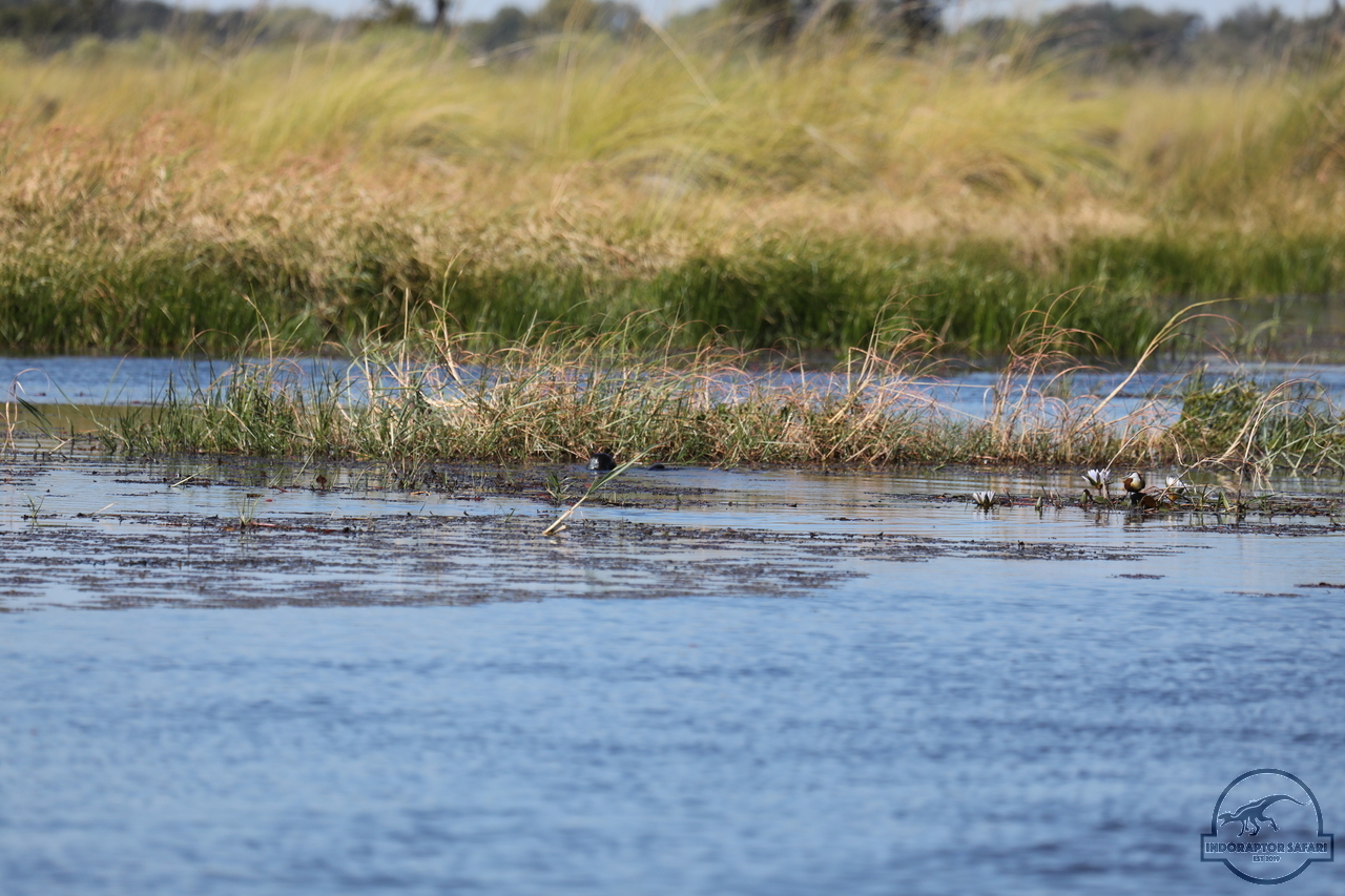 [1209] 2019_06_21_17_32_56_Africa_Canon_EOS_5D_Mark_IV_IMG_0004063_00019.jpg