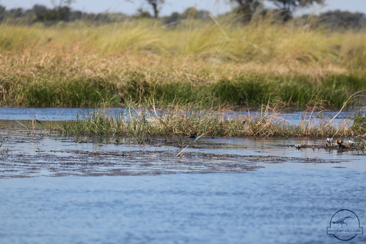 [1212] 2019_06_21_17_32_57_Africa_Canon_EOS_5D_Mark_IV_IMG_0004064_00538.jpg