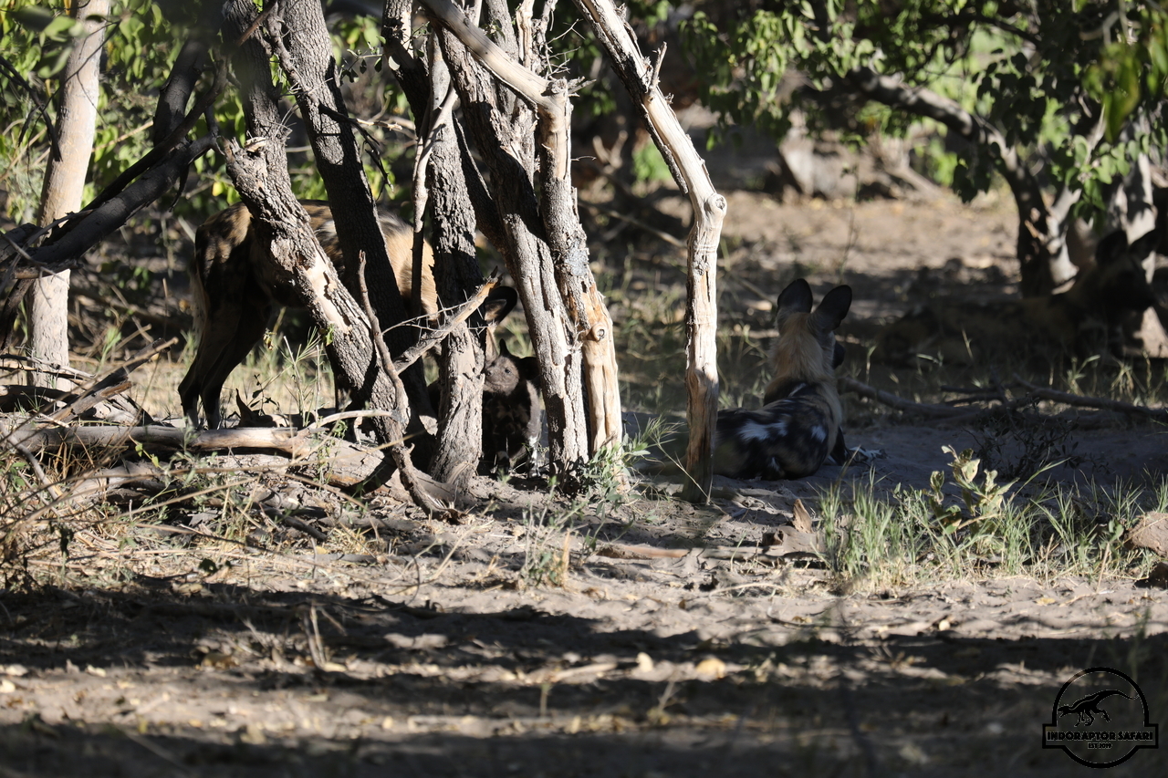 [1244] 2019_06_22_21_31_35_Africa_Canon_EOS_5D_Mark_IV_IMG_0003089_00549.jpg