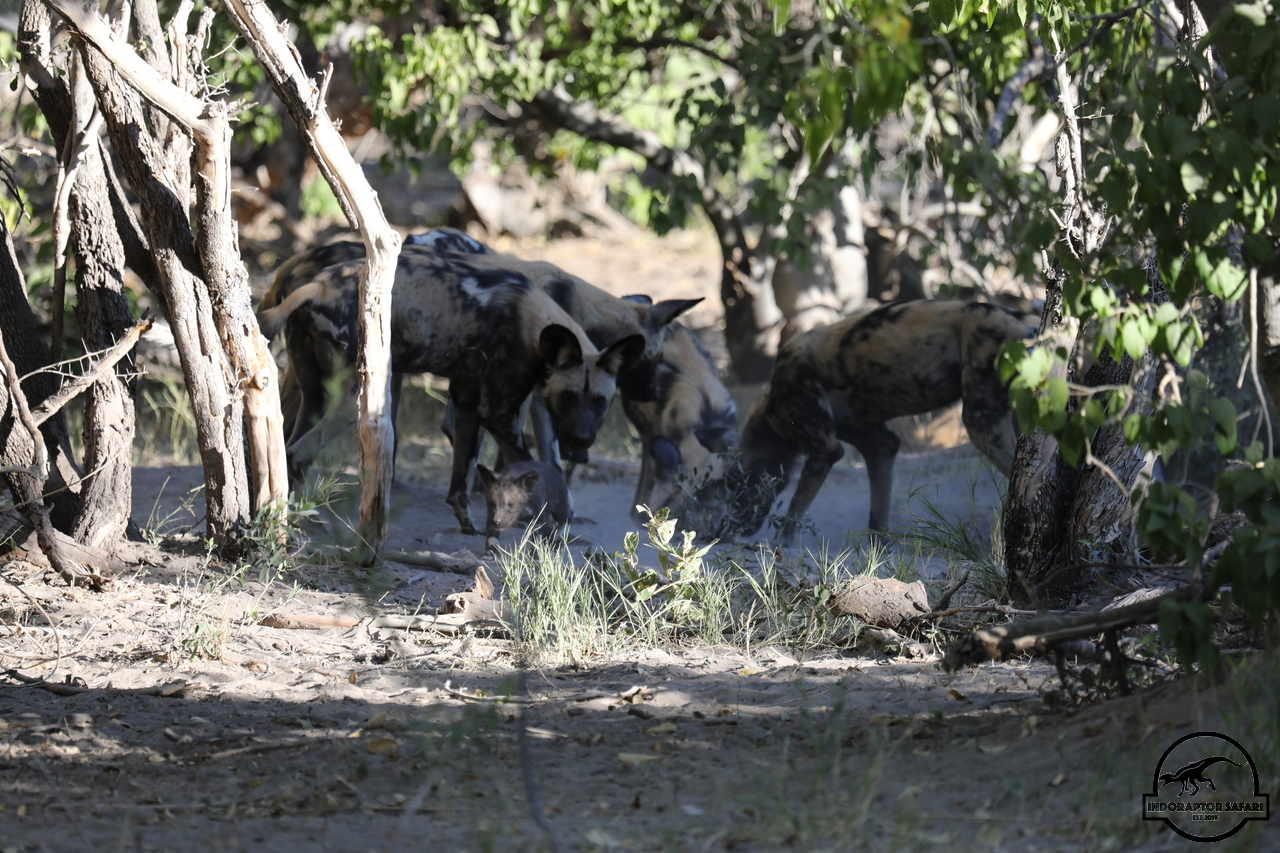 [1248] 2019_06_22_21_38_45_Africa_Canon_EOS_5D_Mark_IV_IMG_0003289_00551.jpg